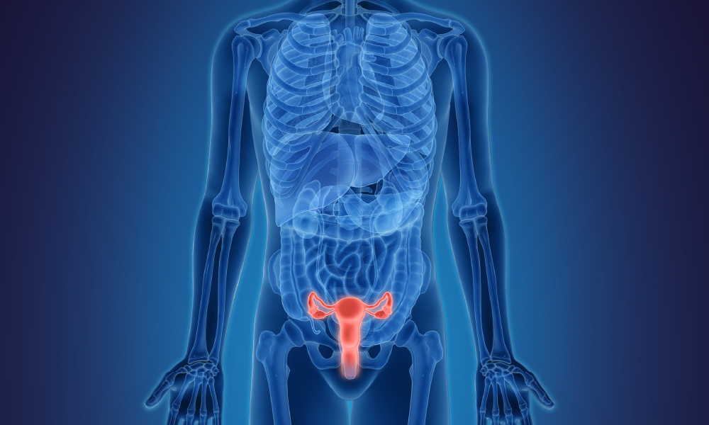 Click the video to learn about performance data for Mass General surgical procedures that treat conditions of the ovaries and uterus